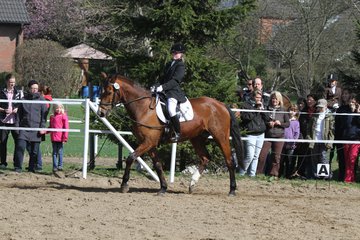 Bild 426 - WBO-Turnier am 9.4.11